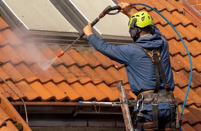 Démoussage et hydrofuge de toiture à Champagny